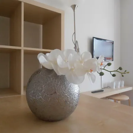 Bc Downtown Apartment *